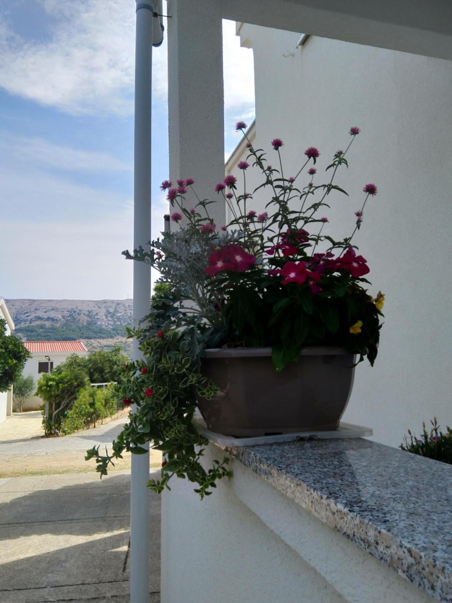 Apartment Edina Pag Паг Экстерьер фото